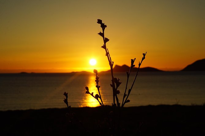 Midnightsun- Eco friendly Tesla Model X - The fjord route and its one-hour scenic focus