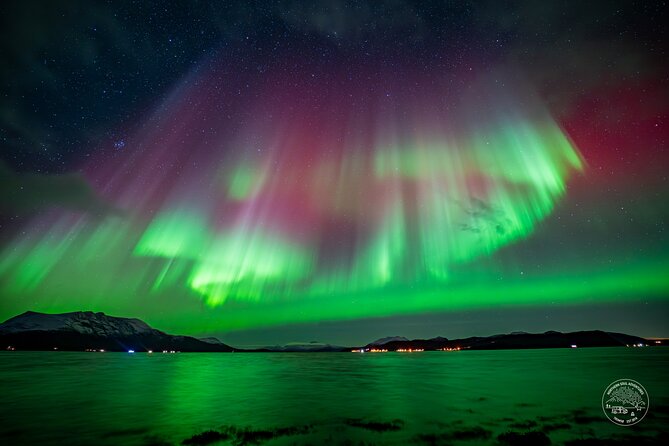 Minibus Northern Lights Chase with Photography from Tromsø - Key things to know before you book