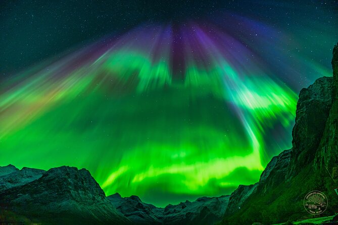 Minibus Northern Lights Chase with Photography from Tromsø - Is $242.92 a fair price?