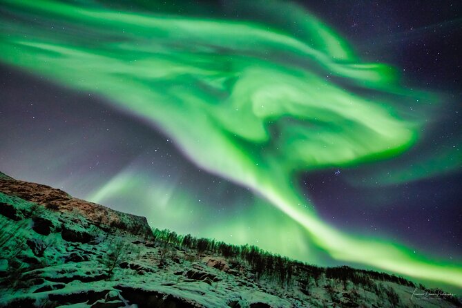 Minivan Northern Lights excursion (8 guests per minivan) - Sommarøy: fjord scenery and a useful first look