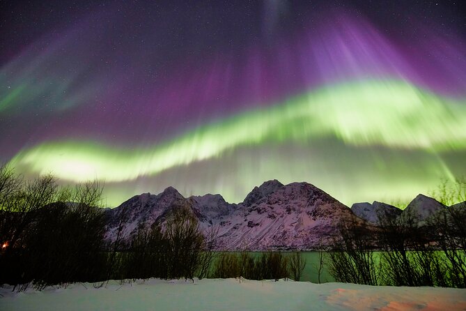 Minivan Northern Lights excursion (8 guests per minivan) - Pyhäouta and Keinovuopio: farther routes for broken cloud