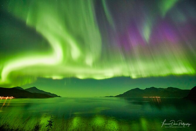 Minivan Northern Lights excursion (8 guests per minivan) - Warm suits, boots, drinks, and outdoor comfort