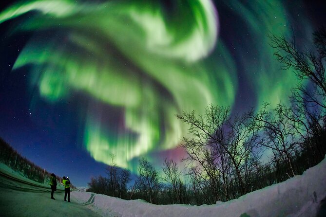 Minivan Northern Lights excursion (8 guests per minivan) - Taking photos when you do not own a camera