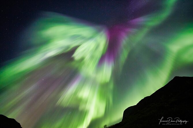 Minivan Northern Lights excursion (8 guests per minivan) - How the northern lights chase works