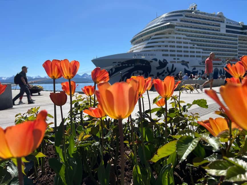 Molde: Atlantic Ocean Road, Kvernes Stave Church & More - Cruise pickup requires careful attention
