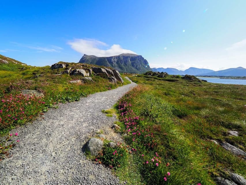 Molde - Get a feeling of the Atlantic Ocean - Eldhusøya gives you another angle on the sea