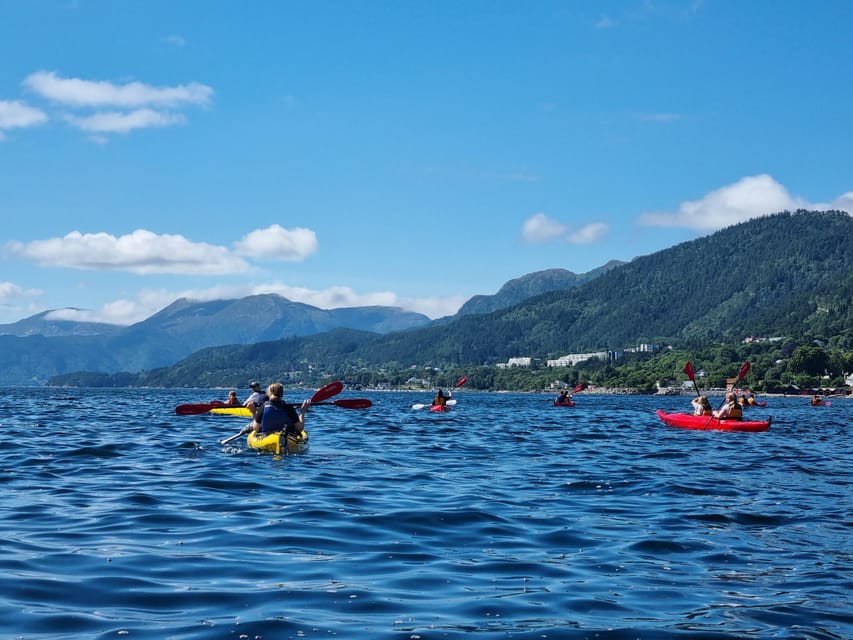 Molde - Guided kayak tour - Who will enjoy this three-hour outing