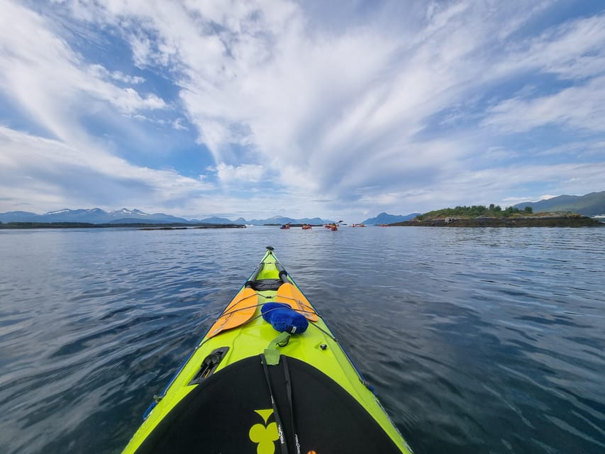 Molde - Guided kayak tour - Booking details worth knowing