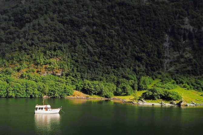 Mostraumen Private Pontoon Cruise - A private way into Bergen’s quieter fjords