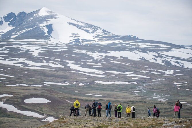 Musk ox Safari in Dovrefjell National Park, Oppdal Safari - Coffee, tea, and the welcome mid-hike pause