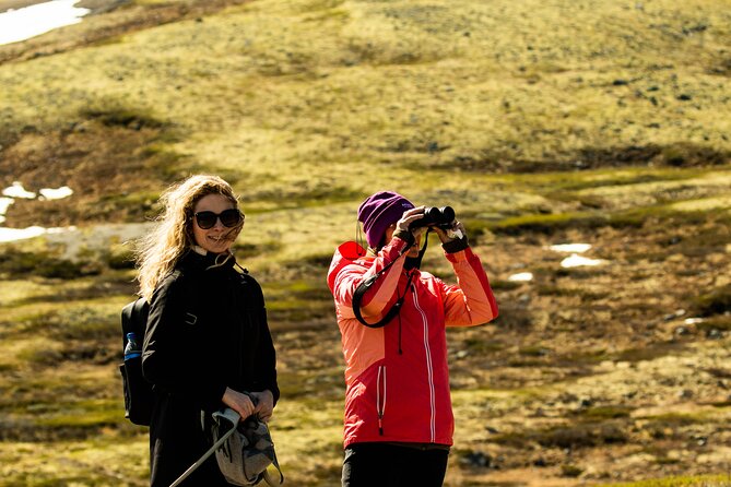Muskox Safari from Hjerkinn | Dovre & Lesja Aktiv - Finding the animals and using the telescope