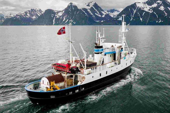 Northern Light cruise on the vintage vessel MS Strønstad - Sauna and jacuzzi at 8 pm