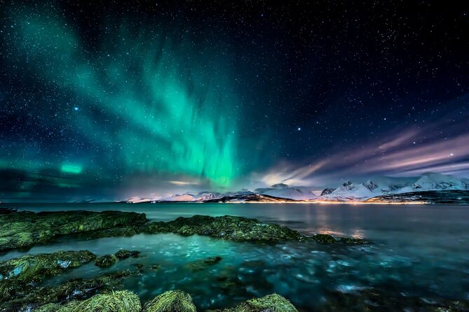 Northern light hunt in Tromsø. WiFi included - Key points to know before booking