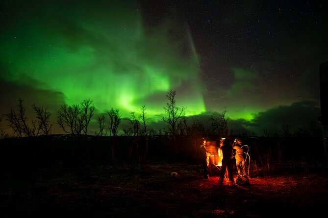 Northern light hunt in Tromsø. WiFi included - Leaving Tromsø at 7 p.m. for the aurora