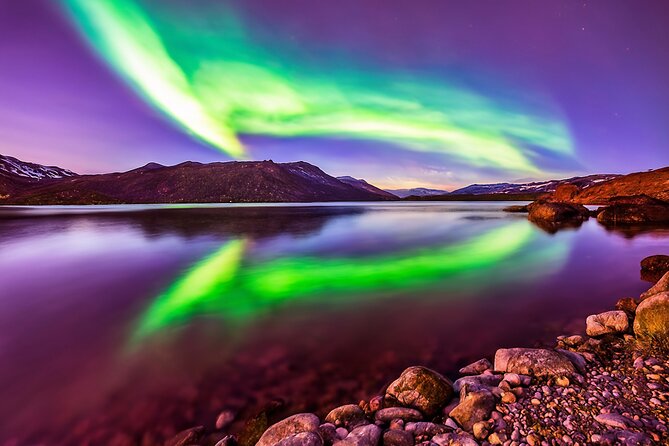 Northern light hunt in Tromsø. WiFi included - Soup, hot drinks, and the promised bonfire