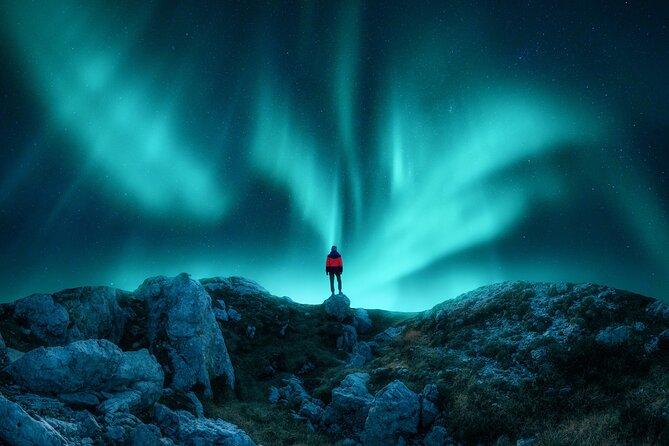 Northern light hunt in Tromsø. WiFi included - A moving search through Arctic scenery