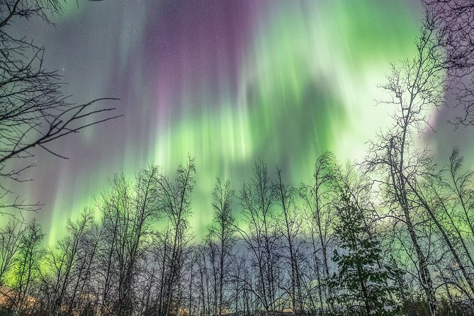 Northern Lights Adventure with Greenlander, 8 people max - The evening starts at Scandic Ishavshotel