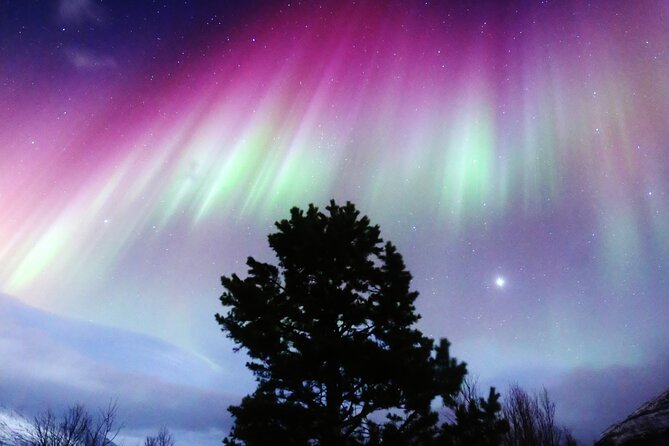 Northern Lights Big Bus Chase with Free Photos - The Chase Starts in Central Tromsø