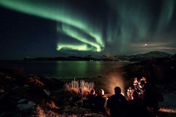 Northern Lights Big Bus Chase with Free Photos - Why a Big Bus Can Be Good Value