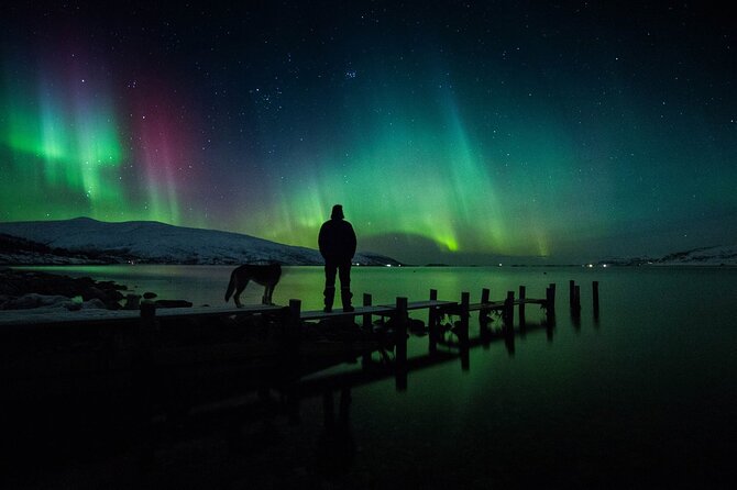Northern Lights Big Bus Chase with Free Photos - What to Wear for a Tromsø Night