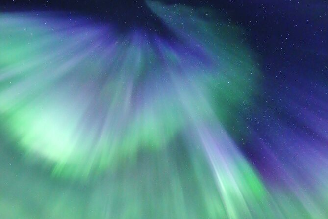 Northern Lights Big Bus Chase with Free Photos - Guides Who Make the Difference