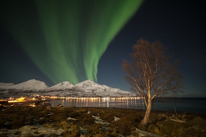 Northern Lights Chase by Bus in Tromso - Timing, weather, and cancellation details