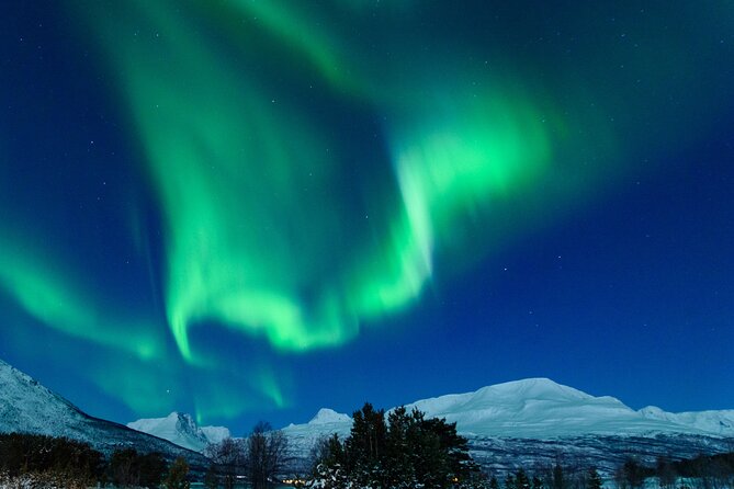Northern Lights Chase by Bus in Tromso - What the northern lights chase is really like