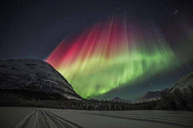 Northern Lights Chase with Photography from Tromsø - Key points before you book