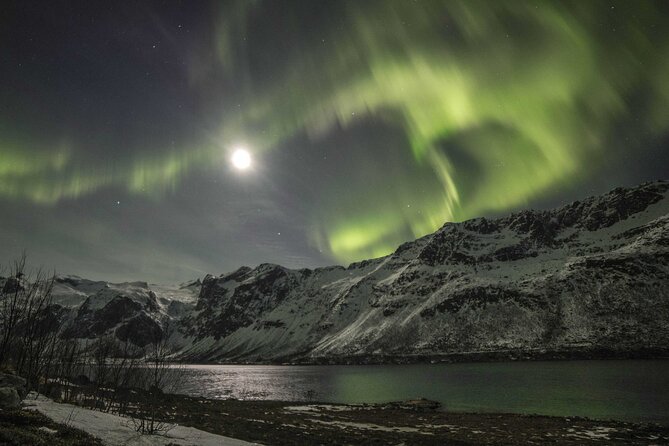 Northern Lights Chase with Photography from Tromsø - Photography help with your phone or camera