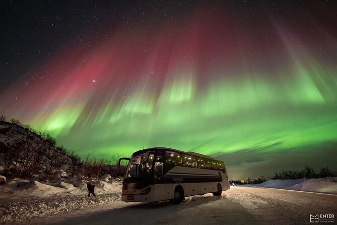 Northern Lights Guided Bus Tour with Free Photos - Leaving Tromsø at 6 p.m.