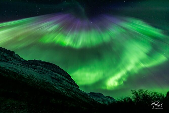 Northern Lights Guided Bus Tour with Free Photos - Who should book this Tromsø night tour