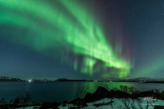 Northern Lights Guided Bus Tour with Free Photos - The bus ride through snowy northern scenery
