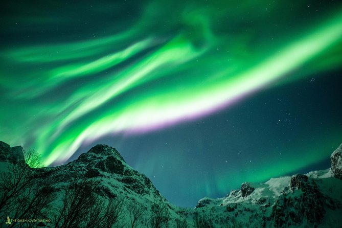 Northern Lights Hunt with The Green Adventure - photos included - Is the $225.64 price fair?