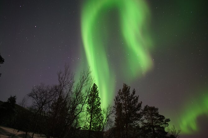 Northern Lights Hunt - Driving wherever the sky looks best