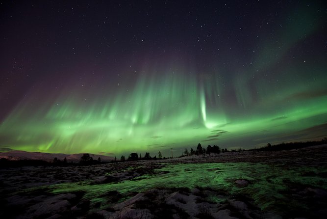 Northern Lights Husky Visit - Key points to know before booking