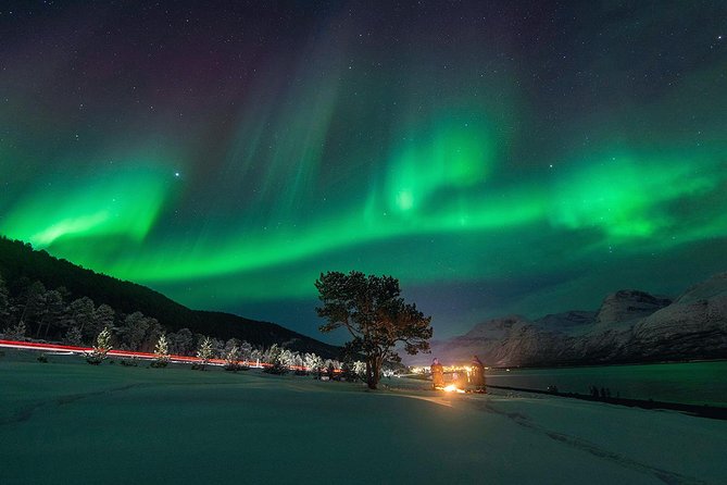 Northern Lights Minibus Chase from Tromsø with Chasing Lights - Stops, fires, and the wait for the aurora