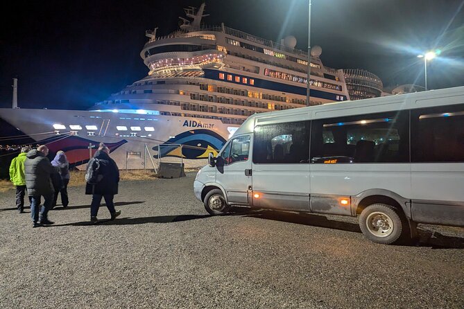 Northern Lights Minibus Chase Max 16 Person In Group - Bad weather, road closures, and backup plans