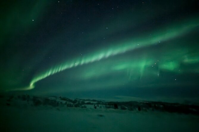 Northern Lights Minibus Chase Max 16 Person In Group - Who will enjoy this Alta tour most