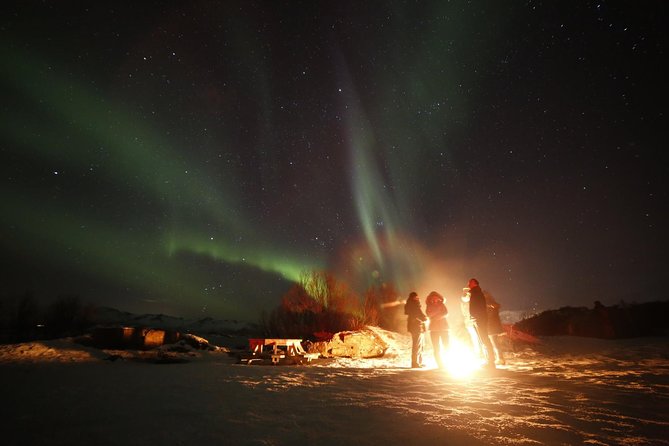 Northern lights photography tour - Is $225.94 a fair price?
