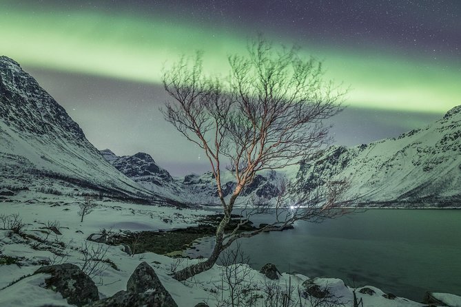 Northern Lights Private tour with your special ones - Greenlander - Why the private format matters in Tromsø