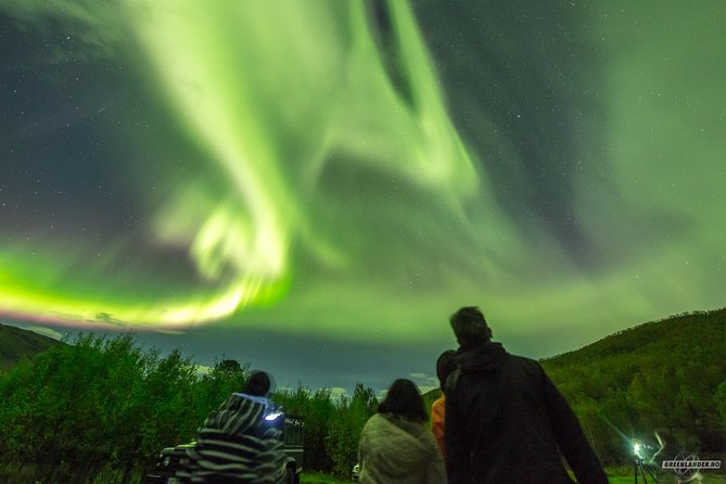 Northern Lights Private tour with your special ones - Greenlander - Chasing clearer skies toward Finland