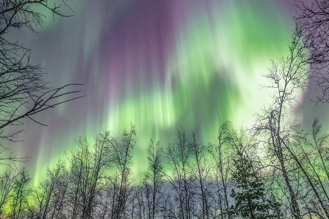 Northern Lights Private tour with your special ones - Greenlander - Guides Peter, Markus, and Samuel