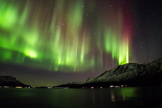 Northern Lights Safari from Tromso - Key points to know before you book