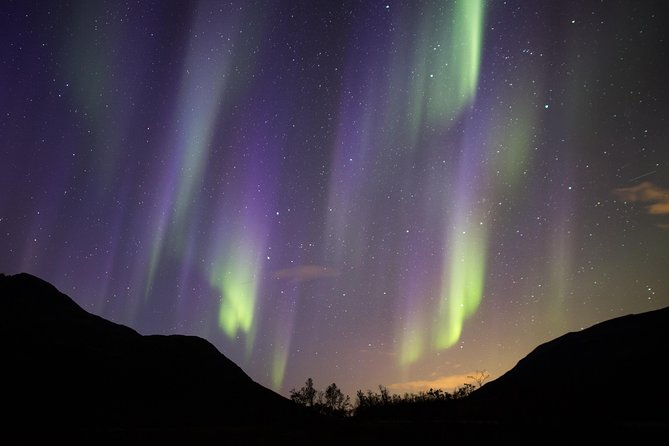Northern Lights Safari from Tromso - Photography help, tripod use, and included pictures