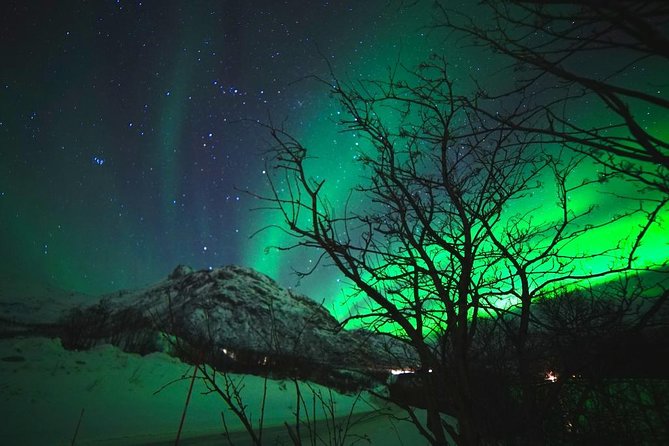 Northern lights - TeslaX Ecofriendly Car - Warm drinks, snacks, and photographs