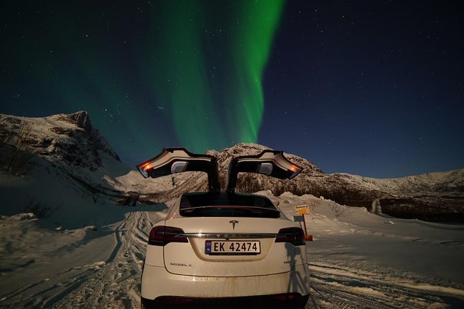 Northern lights - TeslaX Ecofriendly Car - The real value of the $192.75 price