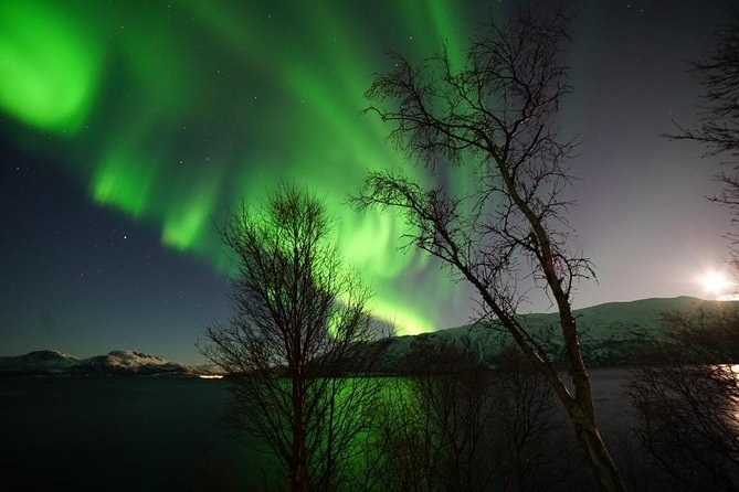 Northern lights - TeslaX Ecofriendly Car - Cancellations and the need for a backup plan