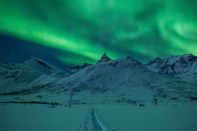 Northern Lights Tour from Tromsø - Why the aurora chase matters around Tromsø