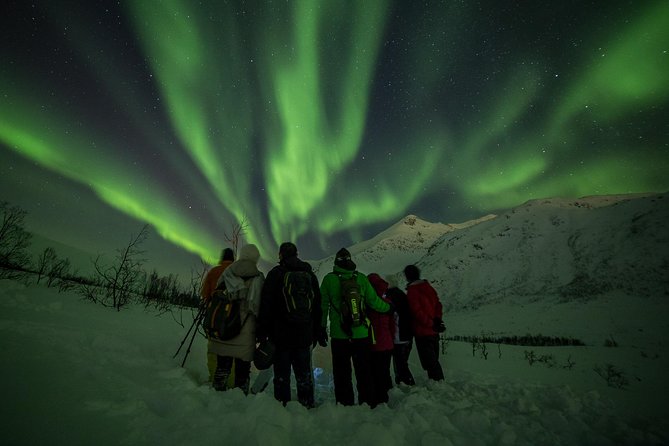 Northern Lights Tour from Tromsø - Thermal suits, boots, and the cold reality