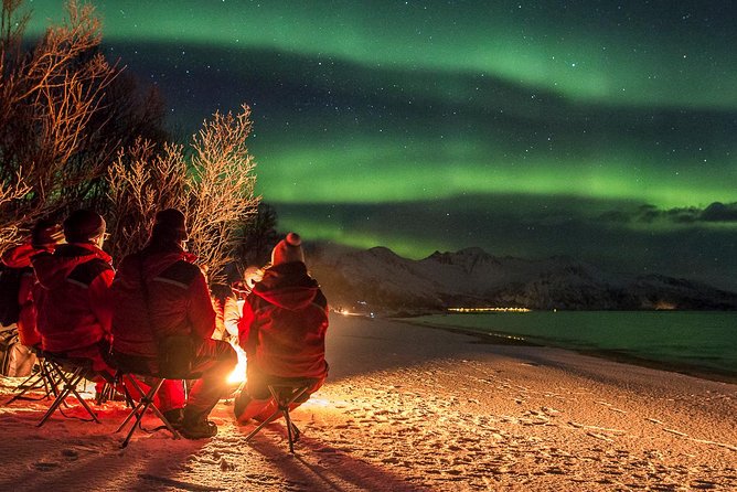 Northern Lights Tour from Tromsø - Is $259.11 a fair price?